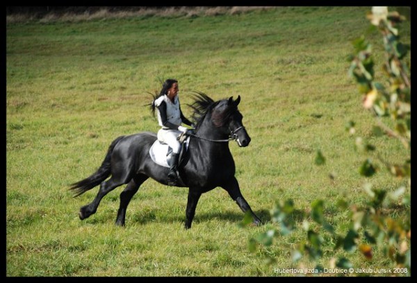 Hubertova jízda 2008