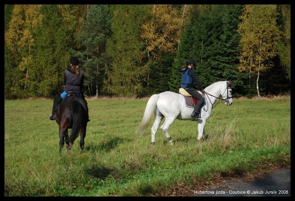 Hubertova jízda 2008