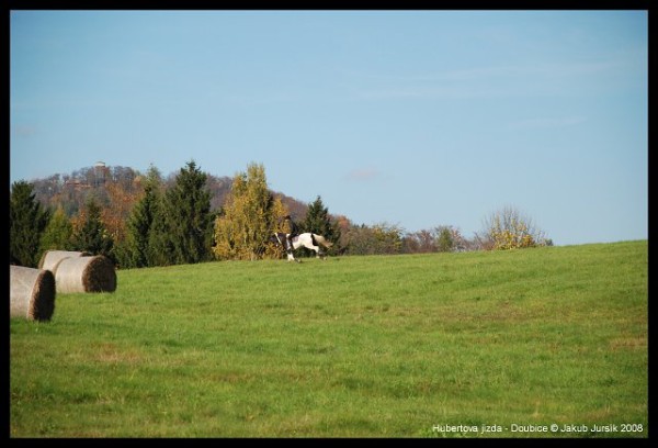 Hubertova jízda 2008