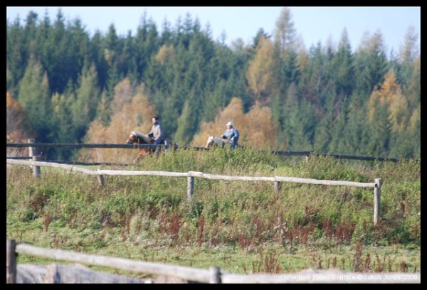 Hubertova jízda 2008